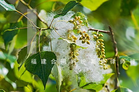 福建合同纠纷案件律师排名 福建合同纠纷案件律师排名