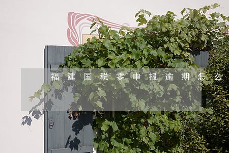 福建国税零申报逾期怎么办 福建国税零申报逾期怎么办