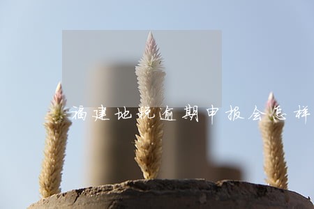 福建地税逾期申报会怎样 福建地税逾期申报会怎样