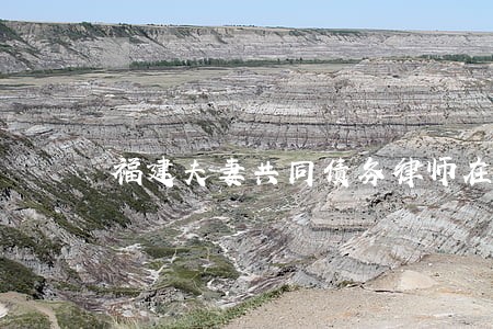 福建夫妻共同债务律师在线咨询