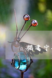 福建宁德债务律师免费咨询 福建宁德债务律师免费咨询