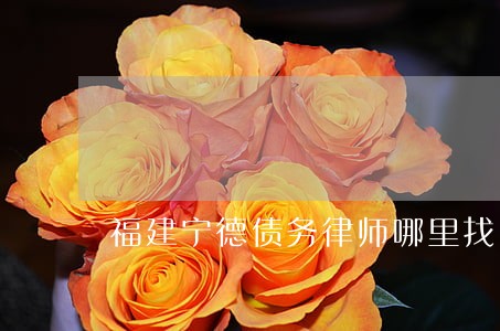 福建宁德债务律师哪里找
