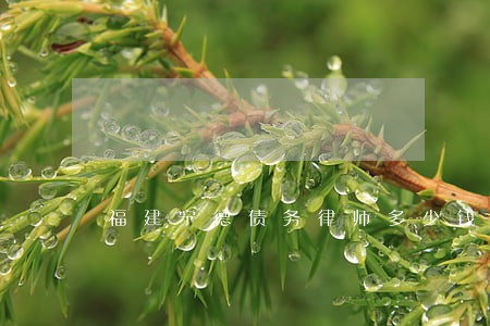福建宁德债务律师多少钱 福建宁德债务律师多少钱