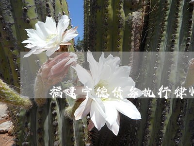 福建宁德债务执行律师免费咨询 福建宁德债务执行律师免费咨询