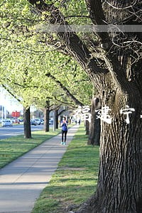 福建宁德债务执行律师费用