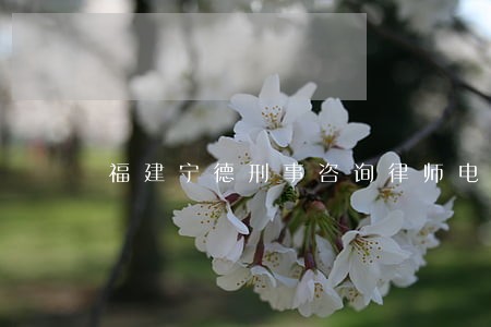 福建宁德刑事咨询律师电话 福建宁德刑事咨询律师电话