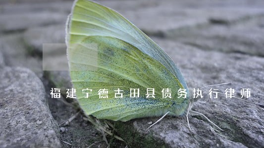 福建宁德古田县债务执行律师 福建宁德古田县债务执行律师