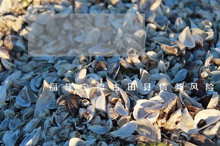 福建宁德古田县债务风险代理律师 福建宁德古田县债务风险代理律师