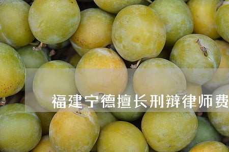 福建宁德擅长刑辩律师费用 福建宁德擅长刑辩律师费用