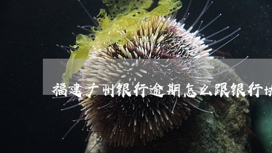 福建广州银行逾期怎么跟银行协商 福建广州银行逾期怎么跟银行协商