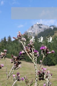 福建建阳大潭律师事务所