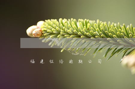 福建征信逾期公司