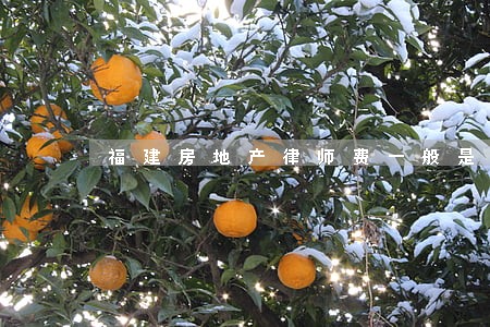 福建房地产律师费一般是多少 福建房地产律师费一般是多少