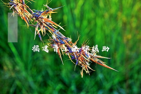 福建晋江法律援助