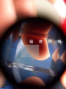 福建枫桦律师事务所福建律所 福建枫桦律师事务所福建律所