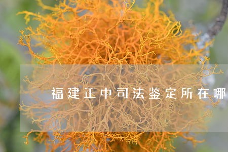 福建正中司法鉴定所在哪 福建正中司法鉴定所在哪