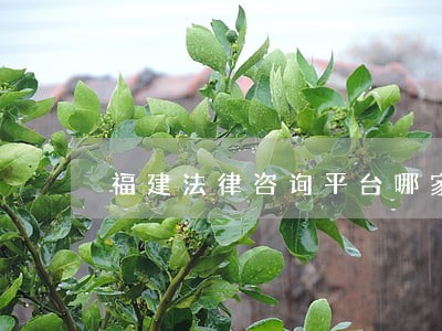 福建法律咨询平台哪家好