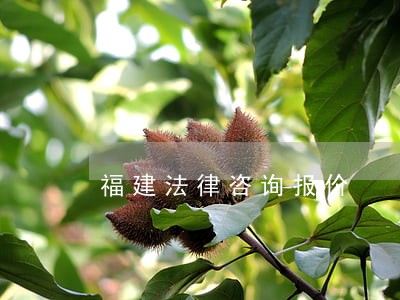 福建法律咨询报价 福建法律咨询报价