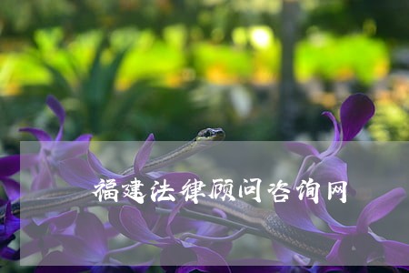 福建法律顾问咨询网 福建法律顾问咨询网