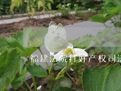 福建法院打好产权司法保护组合拳