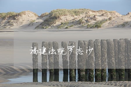 福建法院罗志沙 福建法院罗志沙