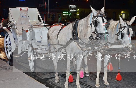 福建海峡银行宁德分行诉讼 福建海峡银行宁德分行诉讼