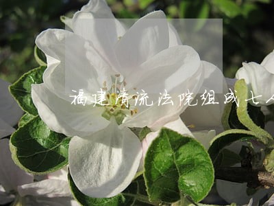 福建清流法院组成七人合议庭 福建清流法院组成七人合议庭