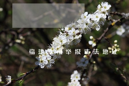 福建漳州举报违法地址