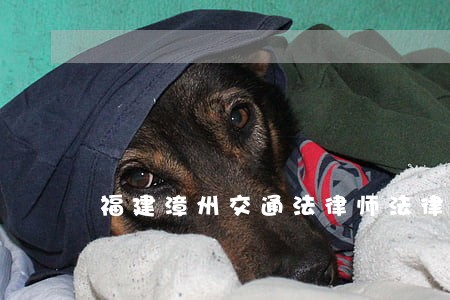 福建漳州交通法律师法律咨询 福建漳州交通法律师法律咨询