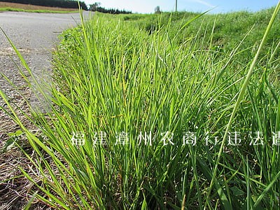 福建漳州农商行违法遭罚50万 福建漳州农商行违法遭罚50万