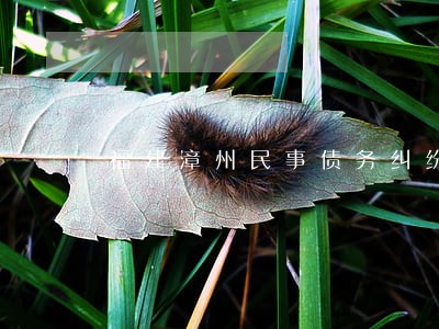 福建漳州民事债务纠纷律师哪个好 福建漳州民事债务纠纷律师哪个好