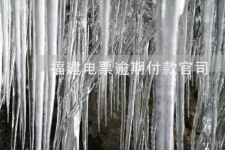 福建电票逾期付款官司