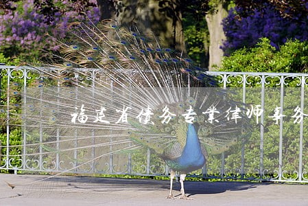 福建省债务专业律师事务所 福建省债务专业律师事务所
