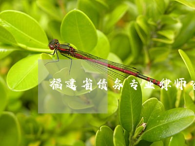 福建省债务专业律师咨询电话 福建省债务专业律师咨询电话