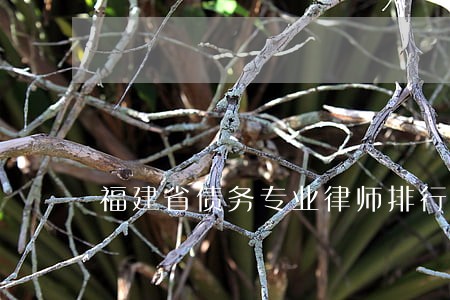 福建省债务专业律师排行 福建省债务专业律师排行