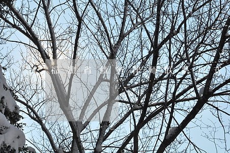 福建省债务律师联系方式 福建省债务律师联系方式