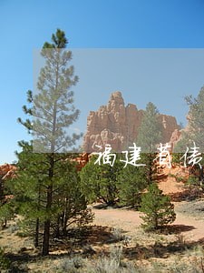 福建省债权债务清理律师代理费 福建省债权债务清理律师代理费