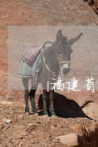 福建省司法厅全国模范司法 福建省司法厅全国模范司法