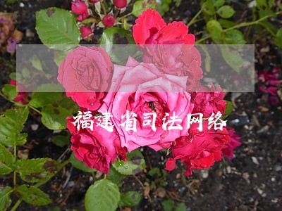 福建省司法网络 福建省司法网络