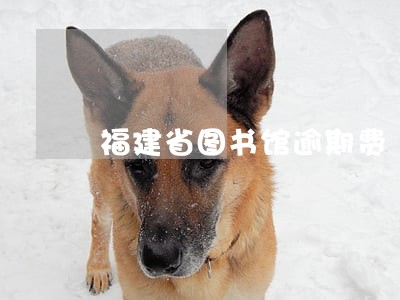 福建省图书馆逾期费