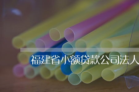 福建省小额贷款公司法人代表变更 福建省小额贷款公司法人代表变更