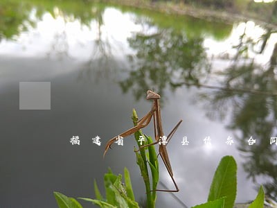福建省平潭县债务合同律师电话 福建省平潭县债务合同律师电话