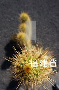 福建省建设法律咨询服务中心 福建省建设法律咨询服务中心
