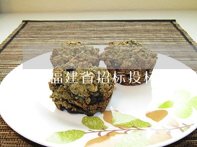 福建省招标投标条例 福建省招标投标条例