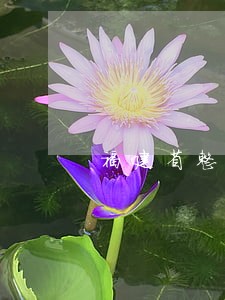 福建省整治严重交通违法 福建省整治严重交通违法