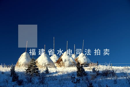 福建省水电司法拍卖 福建省水电司法拍卖