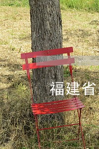 福建省永春县交通法院案件