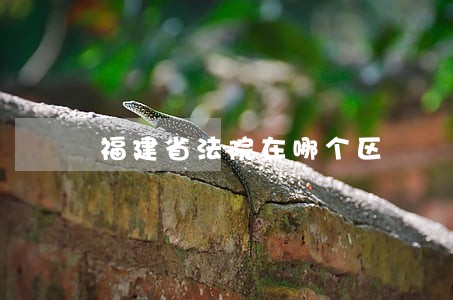 福建省法院在哪个区 福建省法院在哪个区