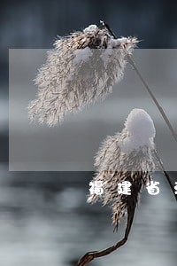 福建省法院曹