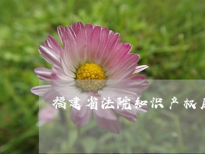 福建省法院知识产权庭 福建省法院知识产权庭